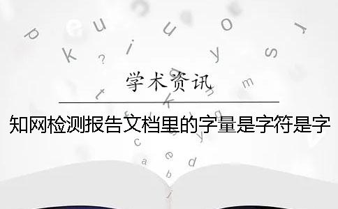 學術檢測報告文檔里的字量是字符是字量