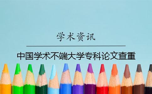 中國學(xué)術(shù)不端大學(xué)專科論文查重