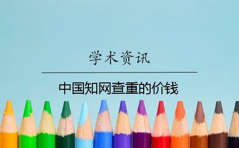 中國學術查重的價錢