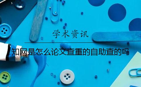 學術是怎么論文查重的？自助查的嗎？