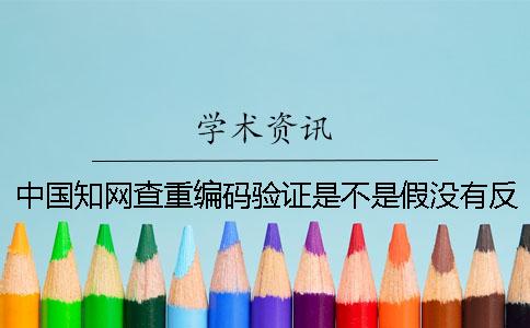 中國學術查重編碼驗證是不是假沒有反響？