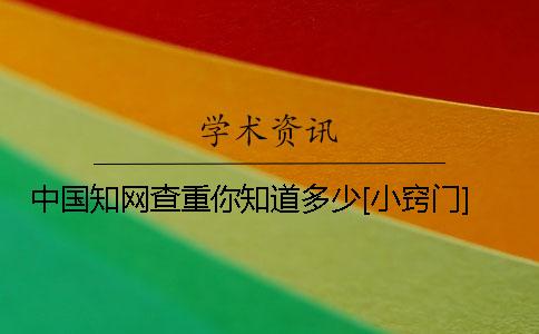 中國學(xué)術(shù)查重你知道多少？[小竅門]