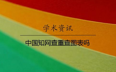 中國學術查重查圖表嗎