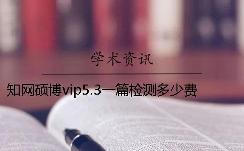 學術碩博vip5.3一篇檢測多少費用？
